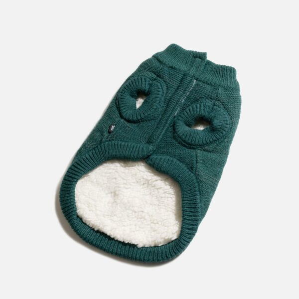 James Dog Sweater - Teal - Image 4