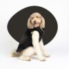Spencer Dog Jacket