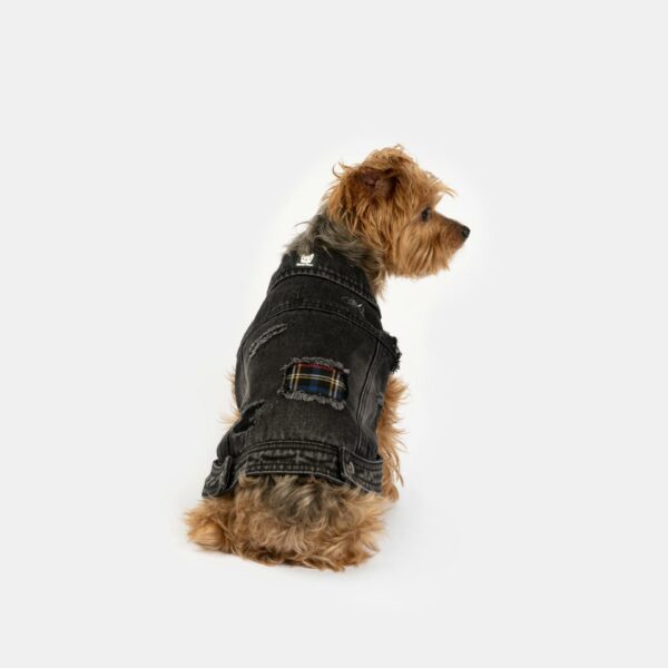 Spencer Dog Jacket - Image 2