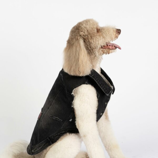 Spencer Dog Jacket - Image 6