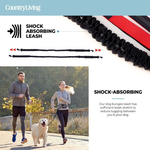 Floral Navy Hands Free Dog Leash - Image 5