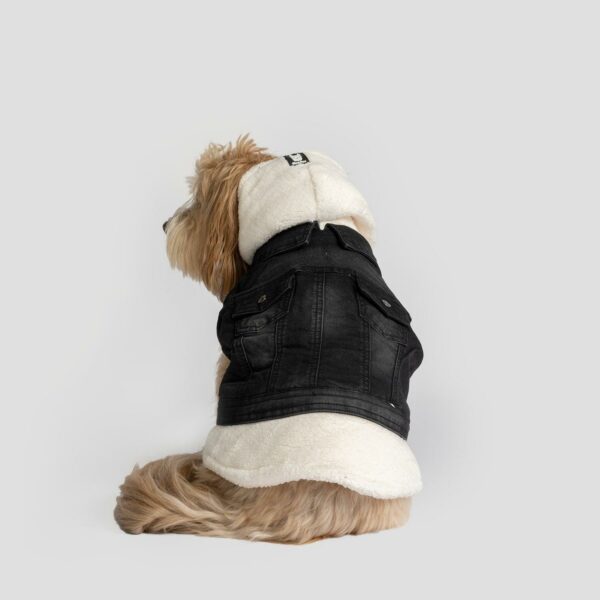 Justin - Denim Dog Jacket (Black) - Image 5