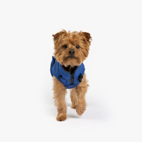 Monty Dog Jacket - Image 5