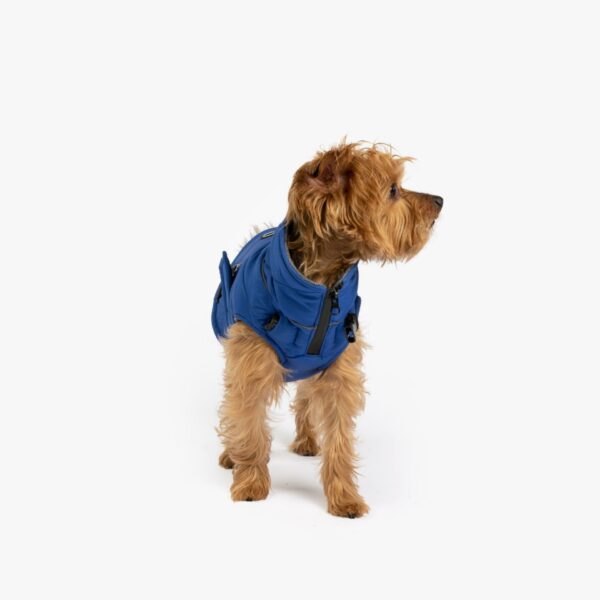 Monty Dog Jacket - Image 6