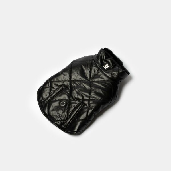 Phoenix Dog Jacket - Black - Image 2