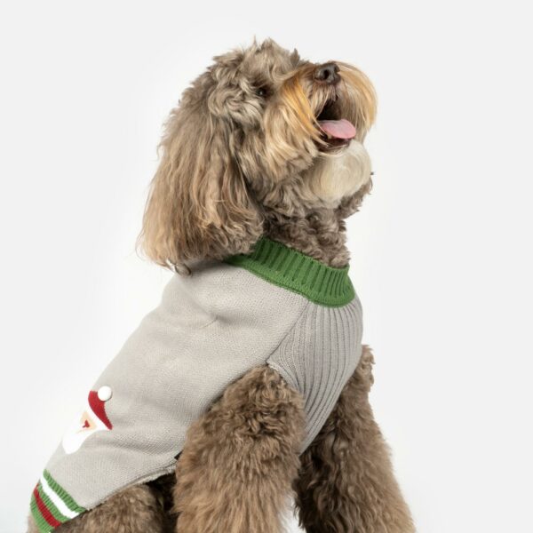 Santa Dog Sweater - Image 4