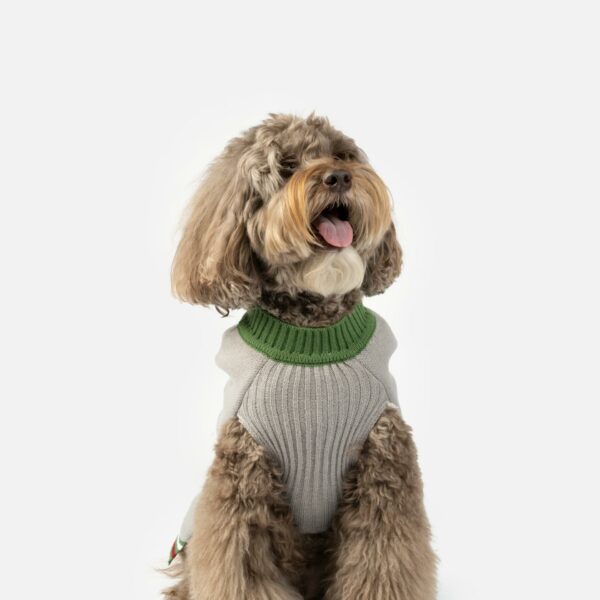Santa Dog Sweater - Image 5