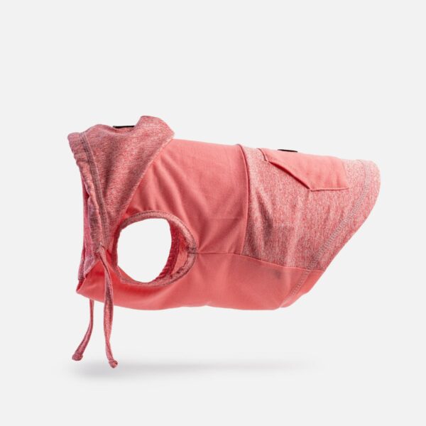 Urban Fit Dog Hoodie - Pink - Image 2
