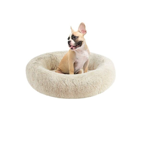 Doggy Bed