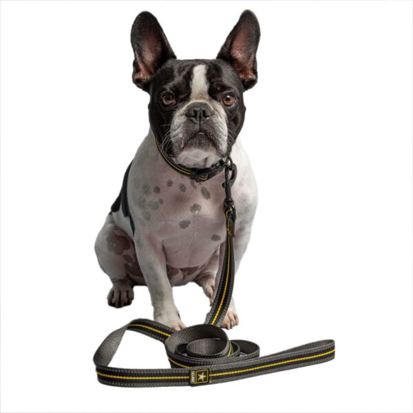 US Army Dog Leash - Dark Camo - Image 2