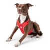 Travel Harness - Red - Image 3