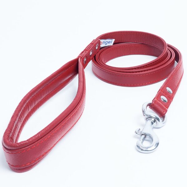 Alpine Leash - Image 2
