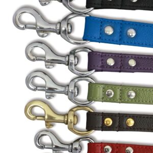Alpine Leash