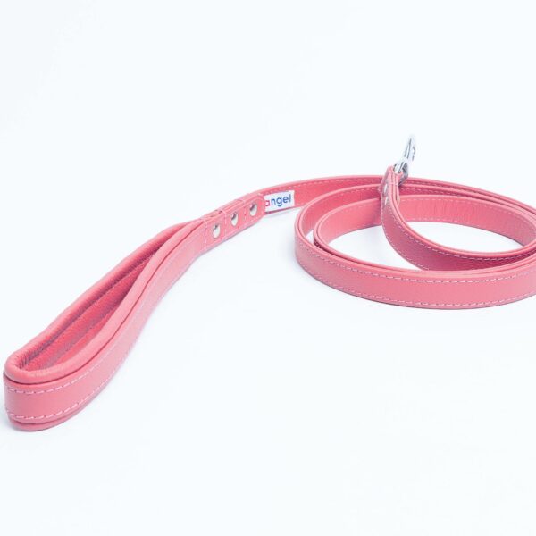 Alpine Leash - Image 4