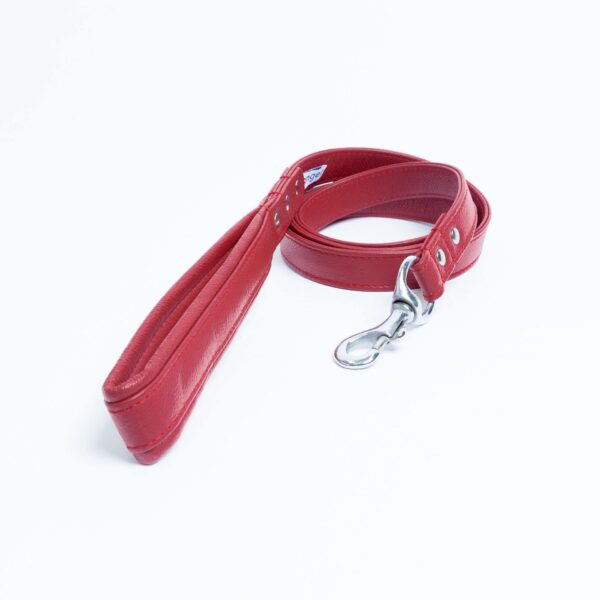 Alpine Leash - Image 6