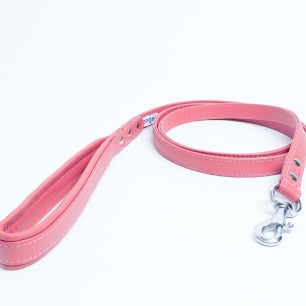 Alpine Leash - Image 14