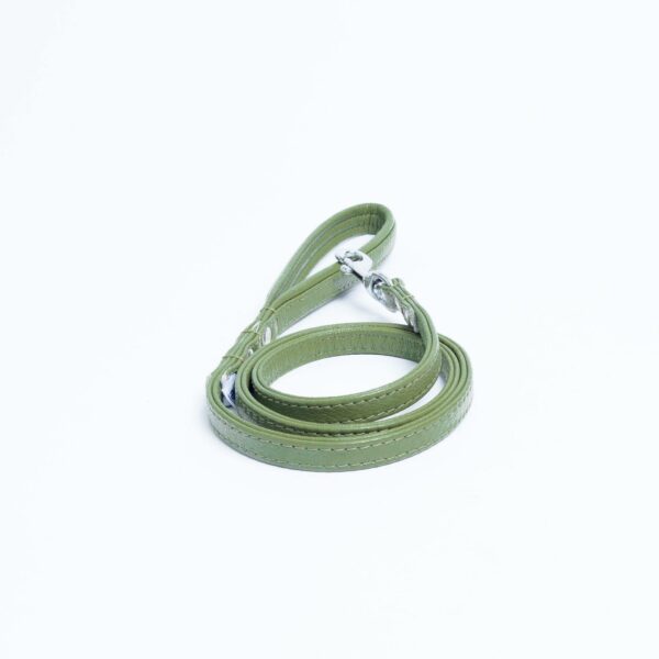 Alpine Leash - Image 15