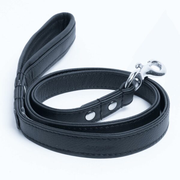 Alpine Leash - Image 24