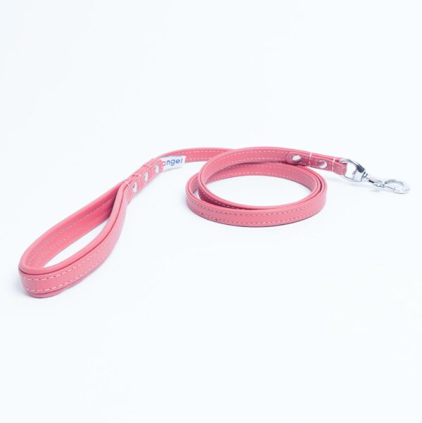 Alpine Leash - Image 29