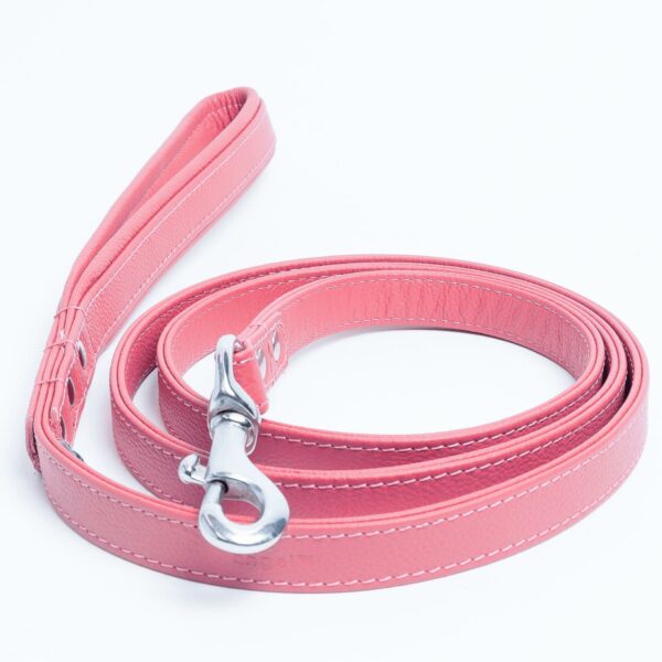 Alpine Leash - Image 30