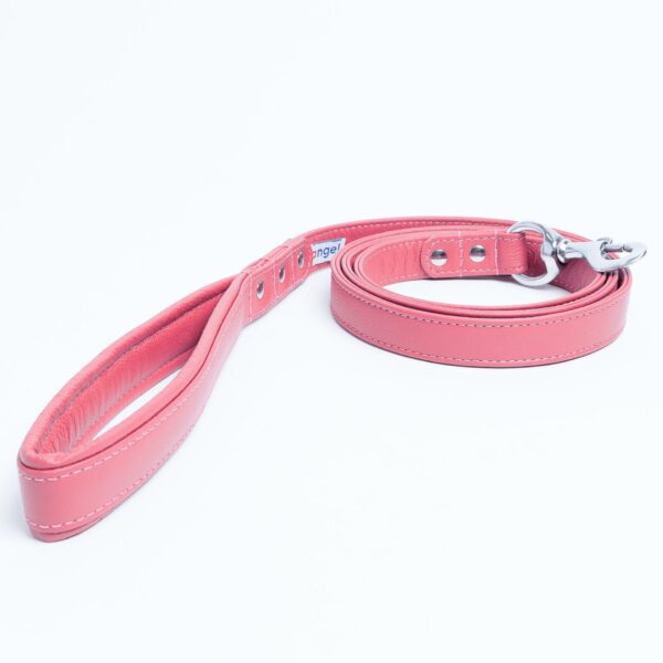 Alpine Leash - Image 32