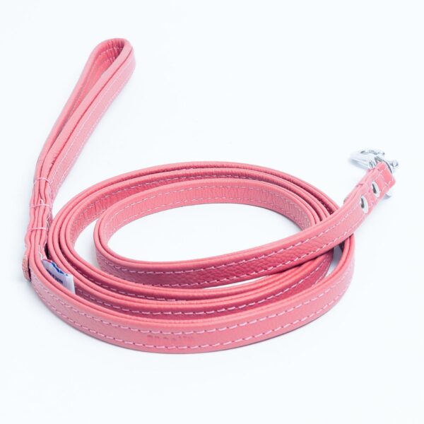 Alpine Leash - Image 66