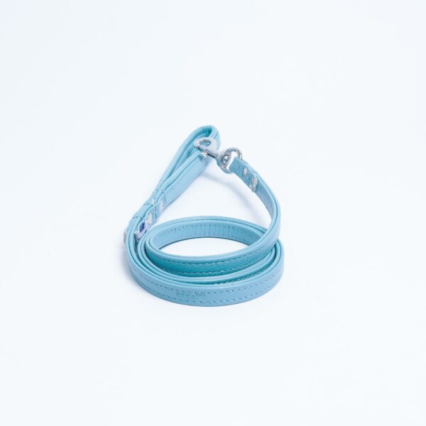 Alpine Leash - Image 78