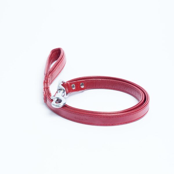 Alpine Leash - Image 83