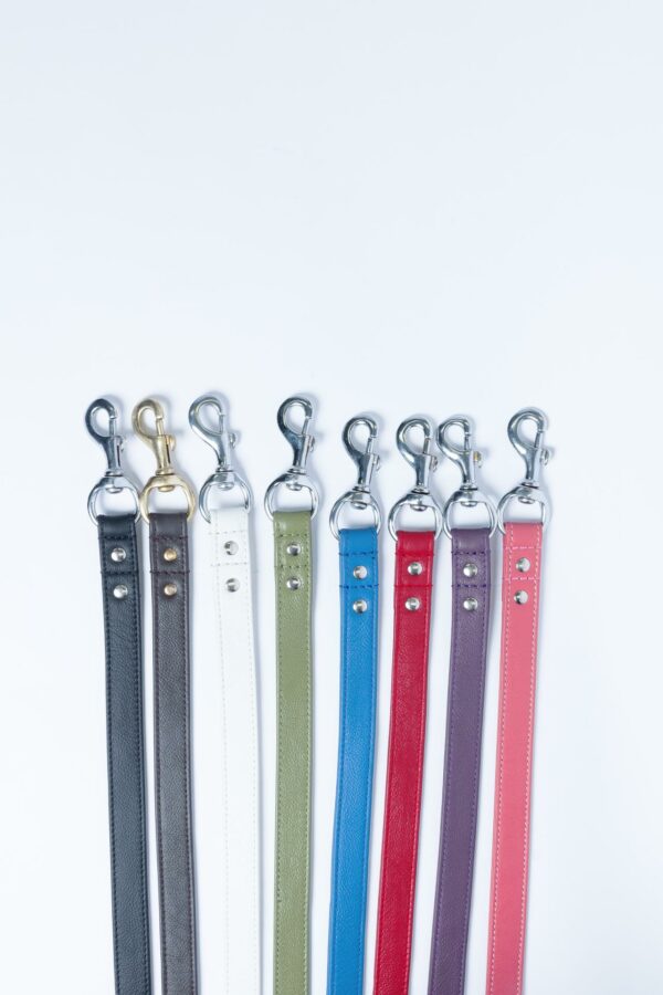 Alpine Leash - Image 101