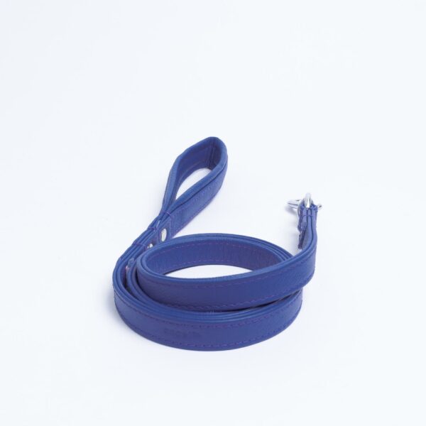 Alpine Leash - Image 102