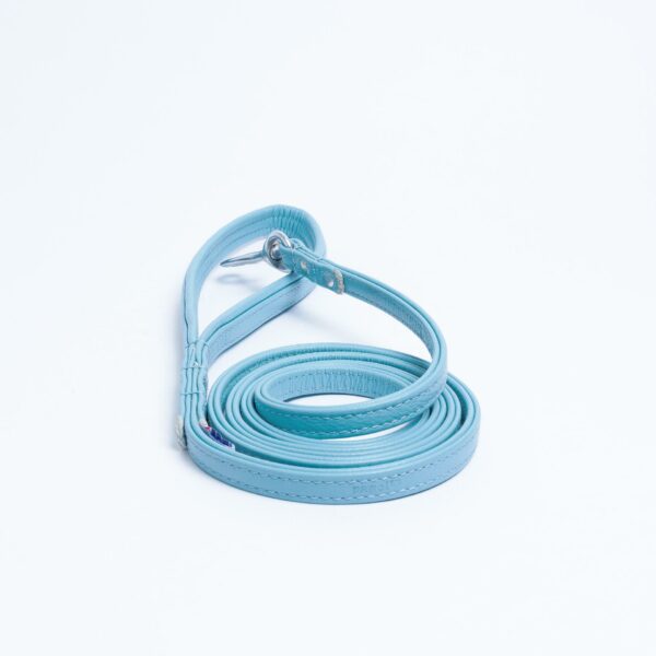 Alpine Leash - Image 108