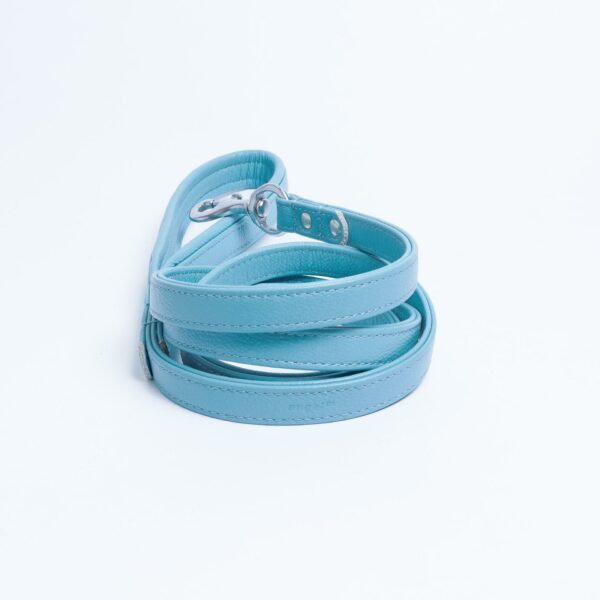 Alpine Leash - Image 113