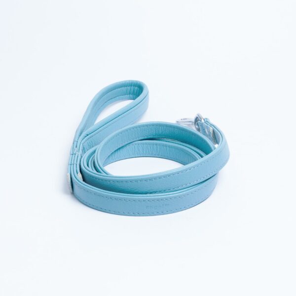 Alpine Leash - Image 114