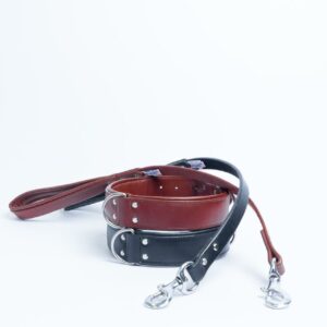 Dallas Leash