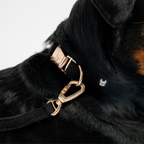 Aquafleece Dog Leash - Black - Image 4