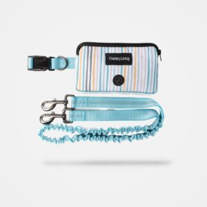 Stripe Blue Hands Free Dog Leash