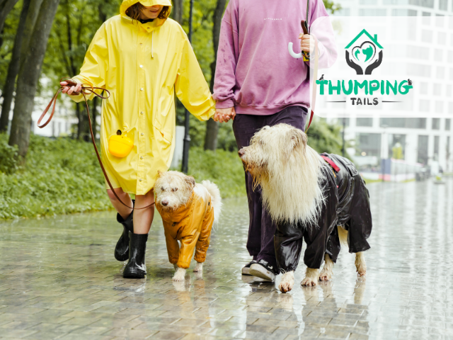 Scarsdale Dog Rain Jackets