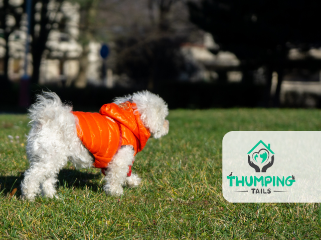 Scarsdale Dog Winter Jackets