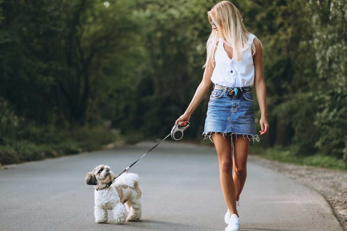 Trust-Thumping-Tails-for-Safe-&-Reliable-Dog-Walking-in-New-Rochelle,-NY