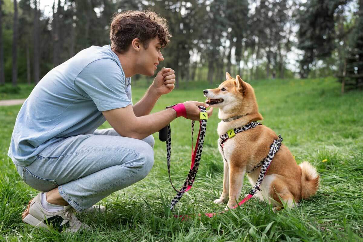 Why-Choose-Thumping-Tails-for-Your-Dog-Walking-Needs