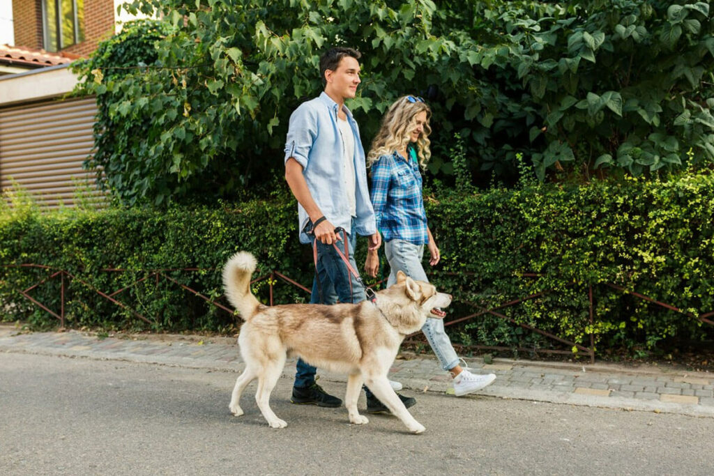 Why-My-Dog-(and-I)-Love-Thumping-Tails-Dog-Walking-in-Westchester,-NY