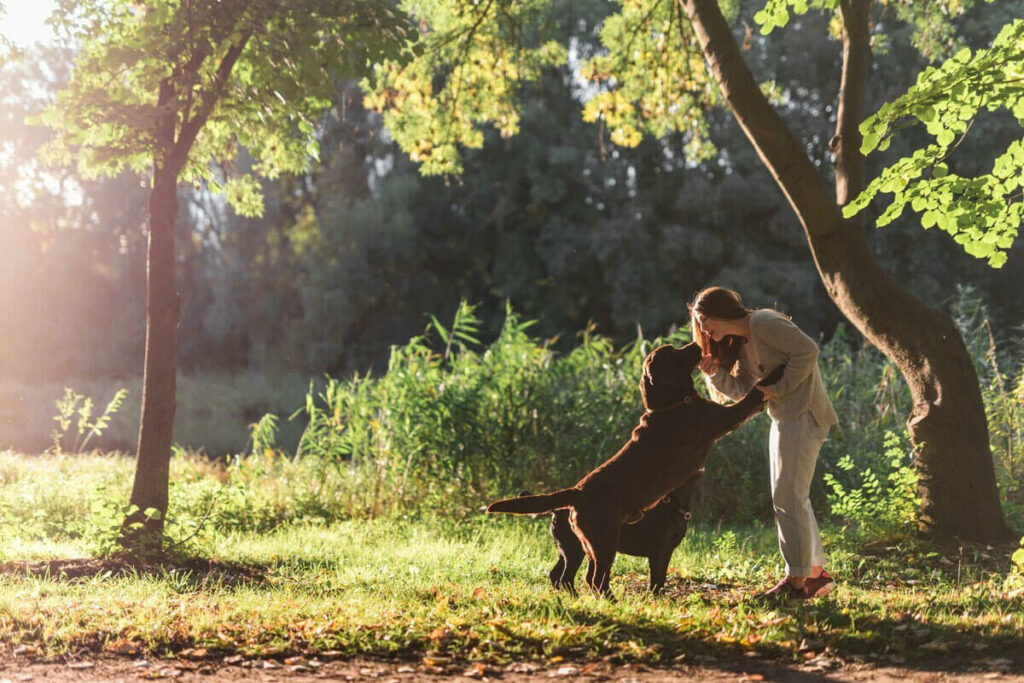 Why-Regular-Dog-Walks-Are-Essential-for-Your-Pet’s-Health-And-How-Thumping-Tails-Makes-It-Easy-Featured