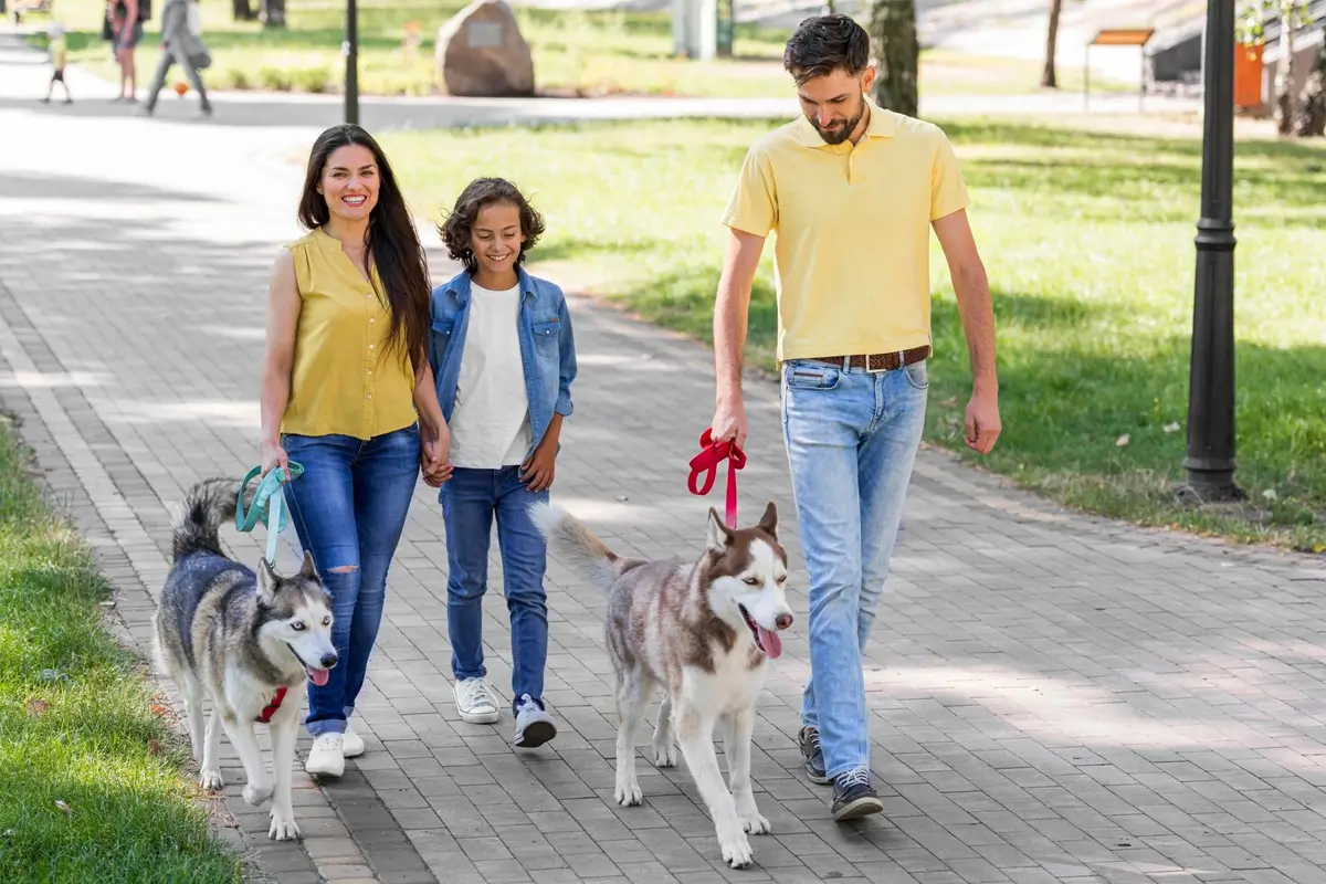 From-Puppies-to-Seniors-Featured