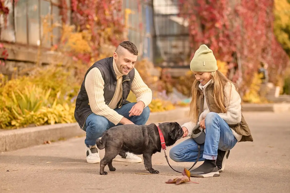 5 Questions Every Greenwich Pet Owner Should Ask a Dog Walker