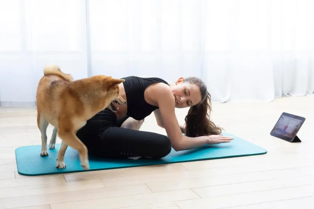 5 Signs Your Dog Isn't Getting Enough Exercise (And How a Walker Can Help)