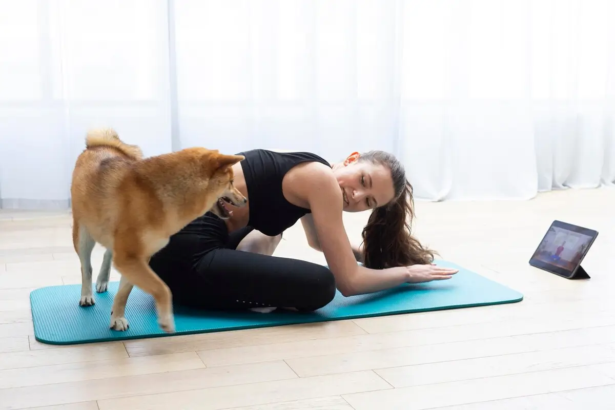 5 Signs Your Dog Isn't Getting Enough Exercise (And How a Walker Can Help)