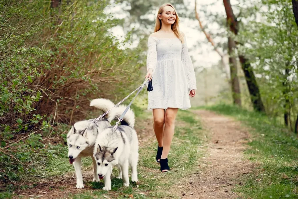 A Dog's Guide to Greenwich: Our Favorite Parks and Walking Trails