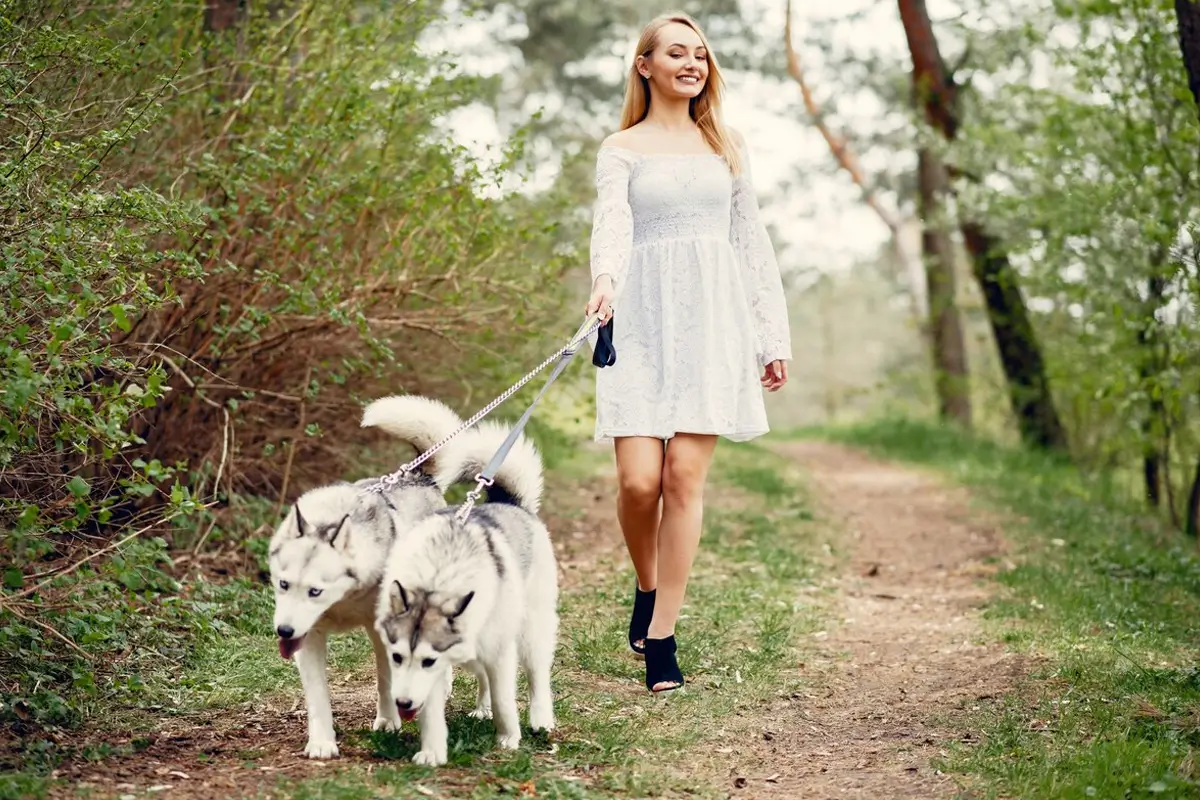 A Dog's Guide to Greenwich: Our Favorite Parks and Walking Trails