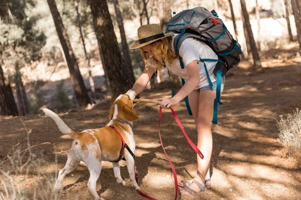 Beyond the Walk: What Your Dog Really Gains from a Thumping Tails Adventure