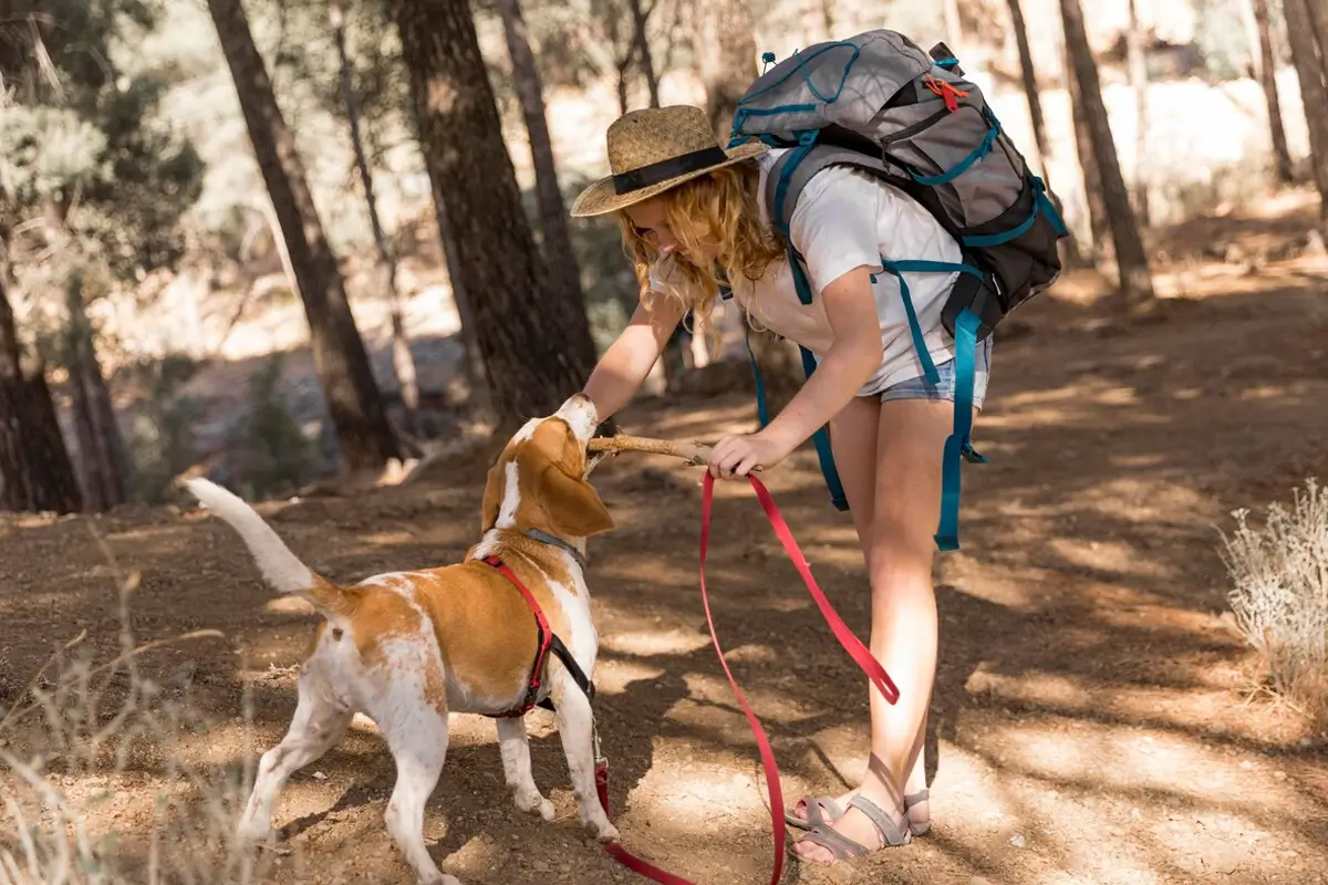 Beyond the Walk: What Your Dog Really Gains from a Thumping Tails Adventure